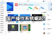 国产操在线